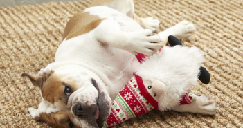 Friskco Holiday Gnome Santa Plush Dog Toy