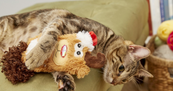 Kong Holiday Kickeroo Reindeer Cat Toy