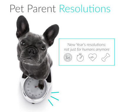 pet parent new years resolutions