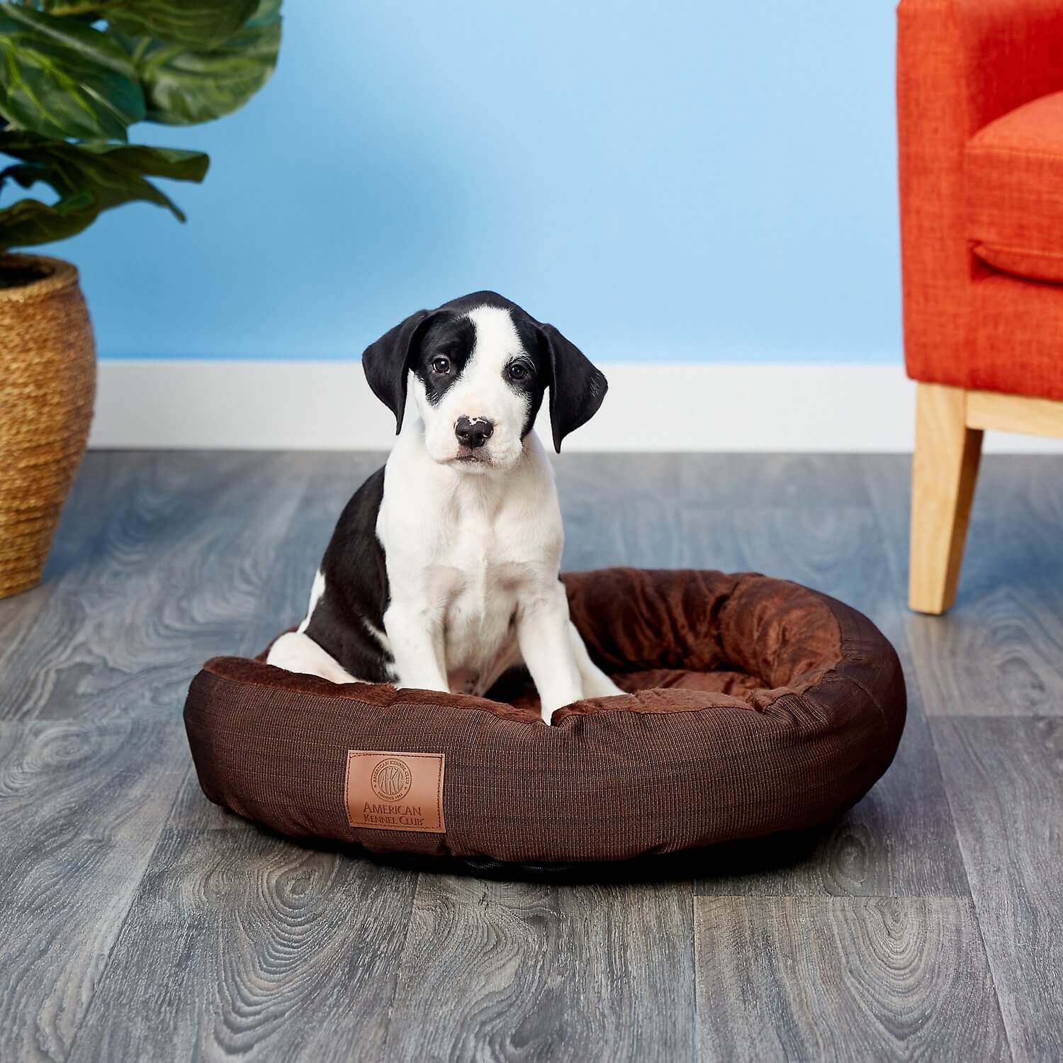 Akc hotsell pet bed