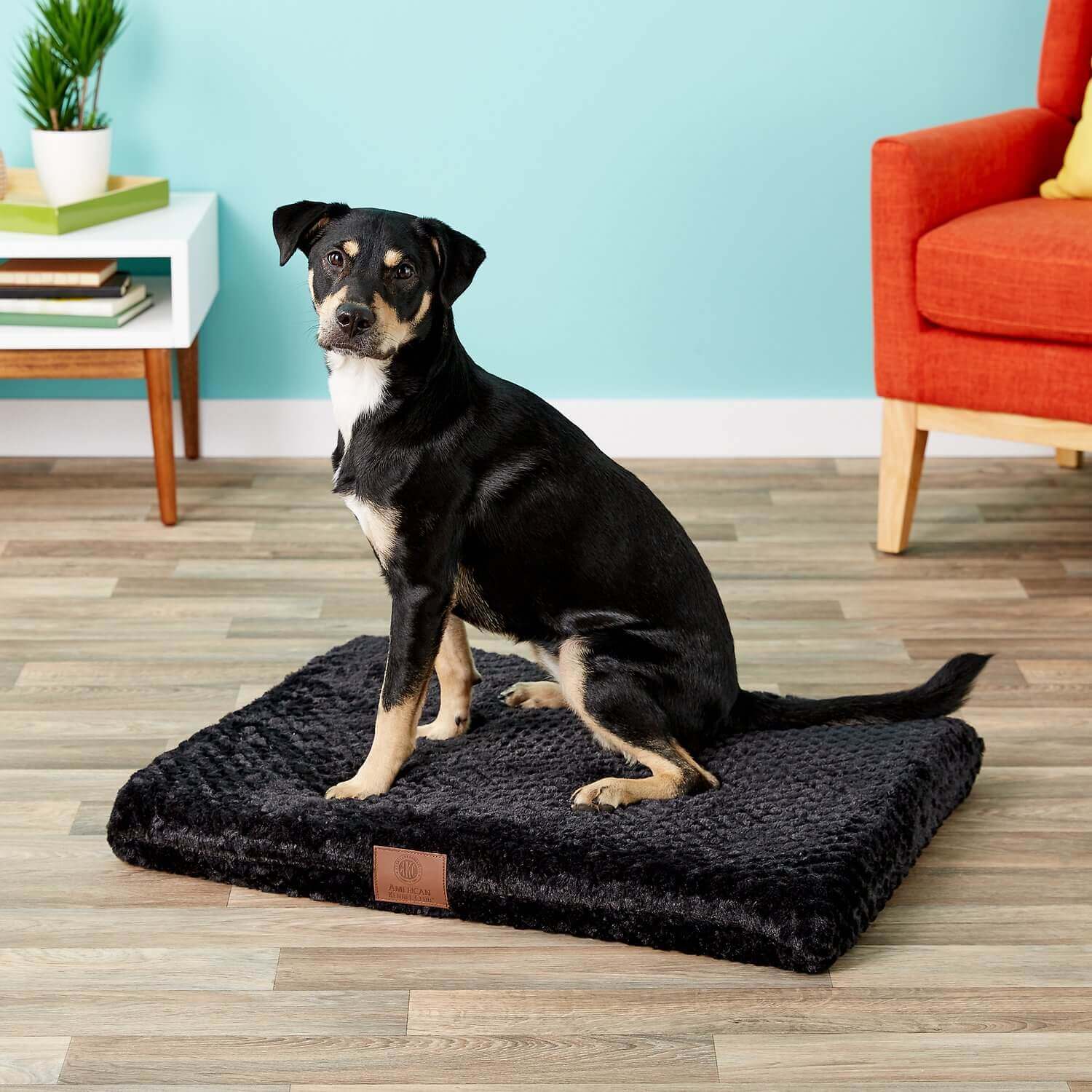 orthopedic dog crate pad