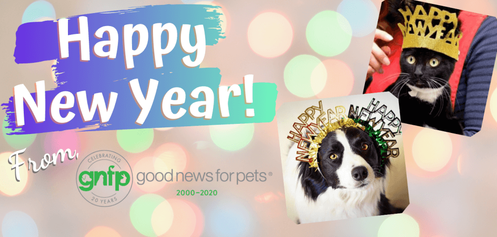 new year new years resolution pet parents