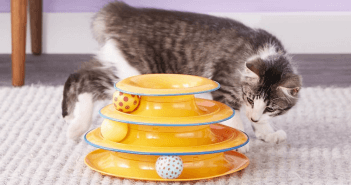 Petstages Tower of Tracks Cat Toy petstages tower of tracks cat toy