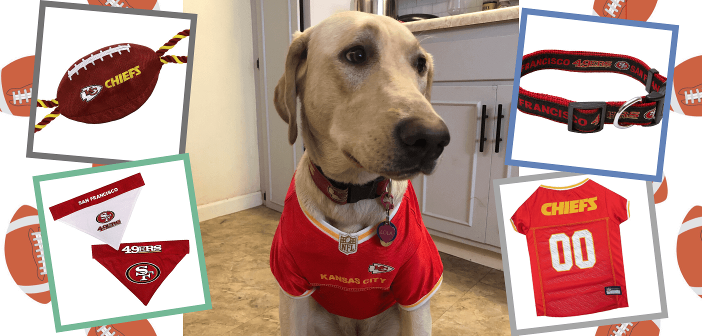 San Francisco 49ers Dog Collar Bandana. Super Bowl Dog 