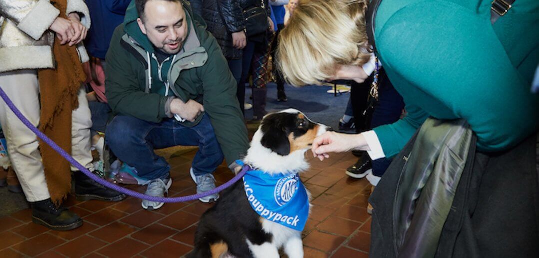 AKC Meet the Breeds Returns to NYC January 28-29