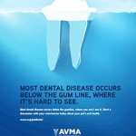 AVMA Dental Graphic