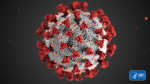 Model of the Corona Virus by the CDC
