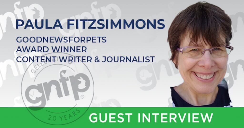 Paula Fitzsimmons Interview