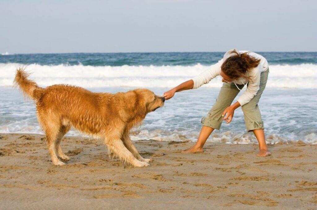 Girl with dog on beach