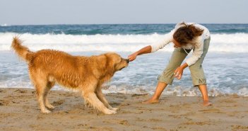 Girl with dog on beach