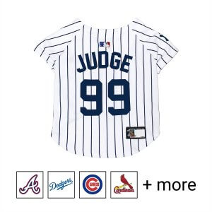 MLB jersey