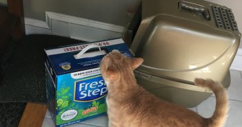 Fresh Step® Cat Litter with Febreze