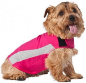 ThunderShirt