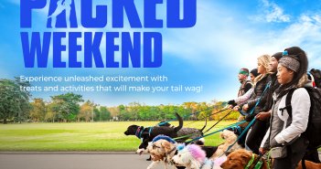 The Pack and Prime Video Present the Packed Weekend