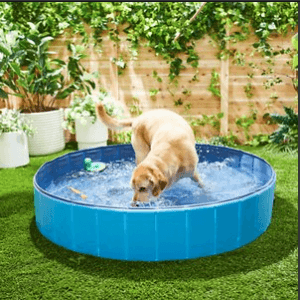 dog pool