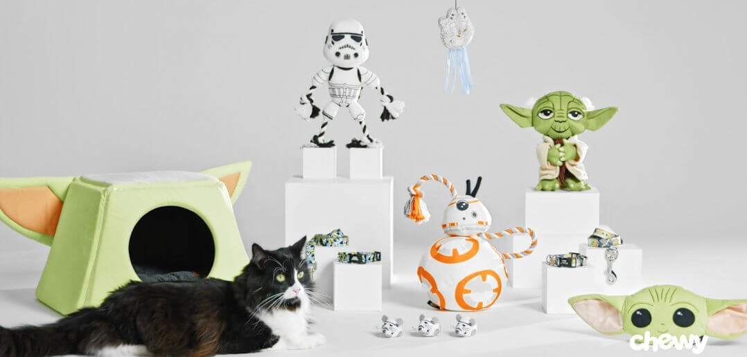 Chewy Offers Deal on Cat Supplies, Disney Toys Too