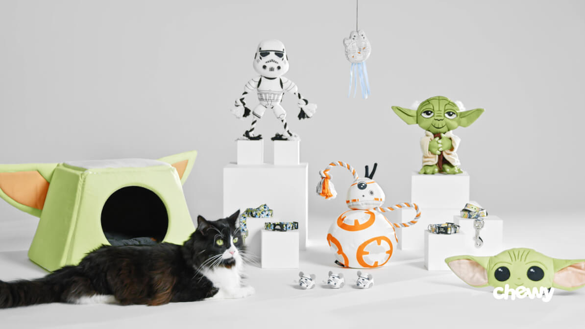 Yoda cat store toy