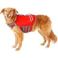 life jacket