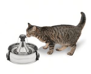 water bowl