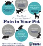 International Veterinary Academy of Pain Management Poster