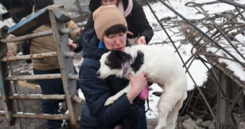 A dog being carried across a bridge in Ukraine