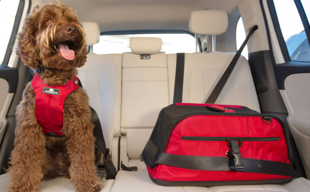 Sleepypod Launches American Red Cross Co-Branded Products - Goodnewsforpets