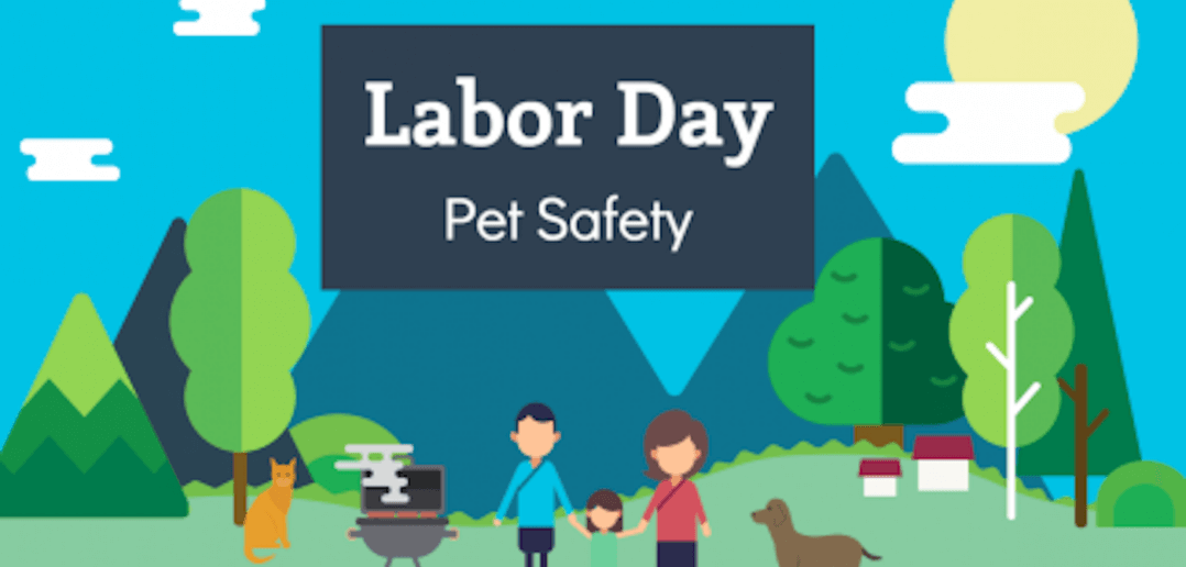 Labor Day Pet Safety Tips