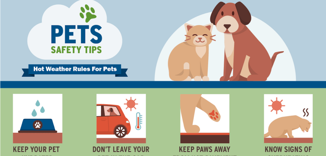 September is Emergency Preparedness Month for Pets Too!