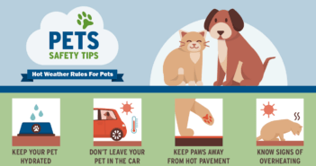 Emergency Preparedness Month includes Pets Too