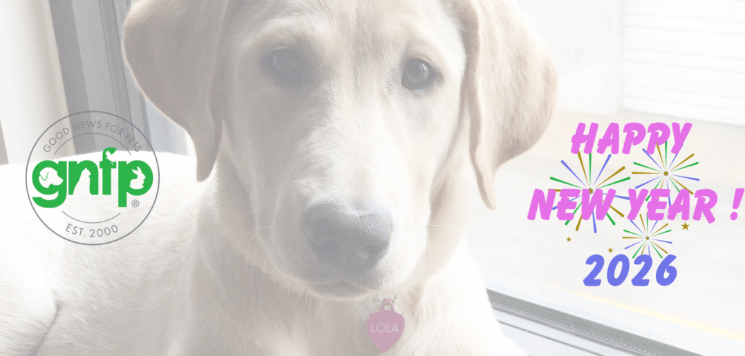 A New Calendar, A New Year, Welcome to the Pawsabilities for 2026!