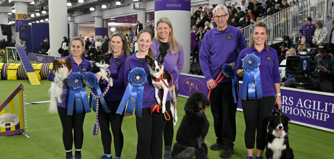 Westminster Kennel Club 150th Anniversary Week Kicks Off With Agility Champions Announced