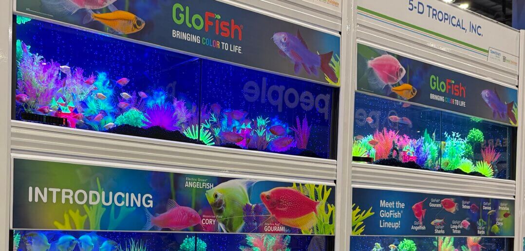 Global Pet Expo 2026: AI Innovation, Cat Trends, Aquatic Fish and Select New Pet Products