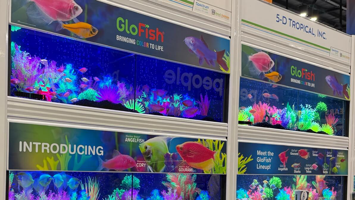 GloFish Display at 5D Tropical in the Global Pet Expo Aquatics Section