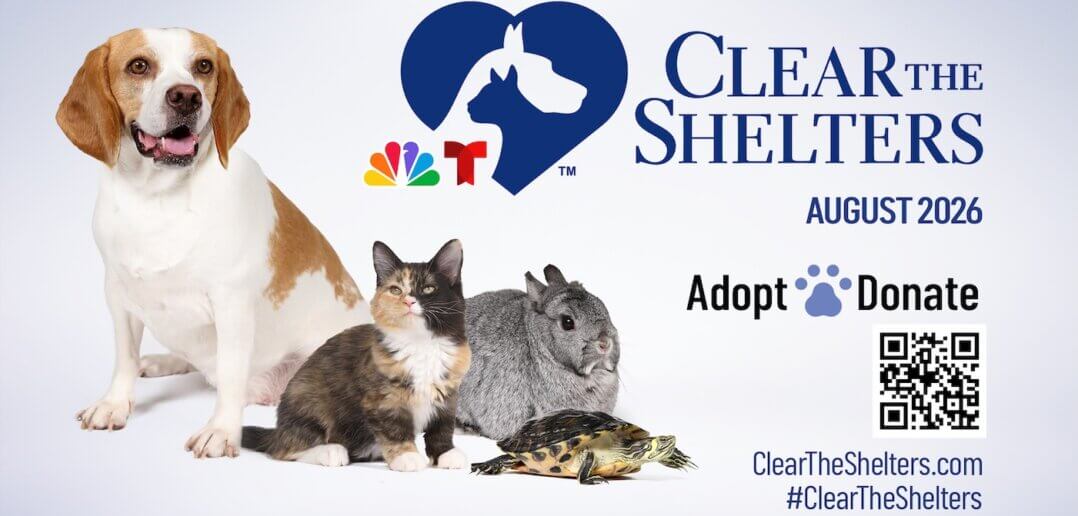 Hill’s Pet Nutrition Expands Support of ‘Clear the Shelters’ As Inaugural Presenting Sponsor This August