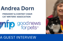 Andrea Dorn CWA Guest Column