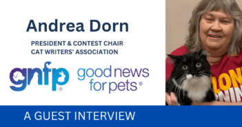 Andrea Dorn CWA Guest Column